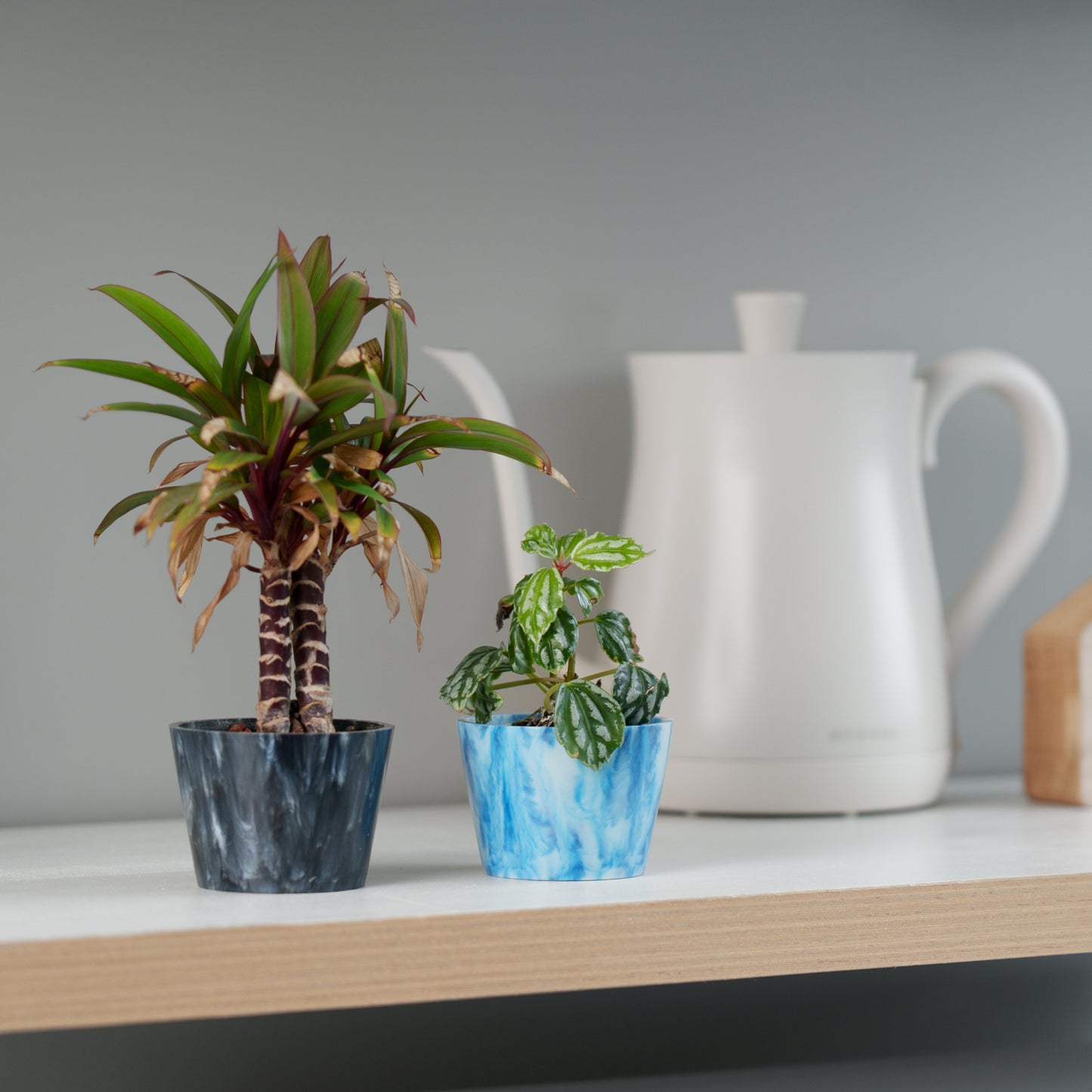植物用アップサイクルポット