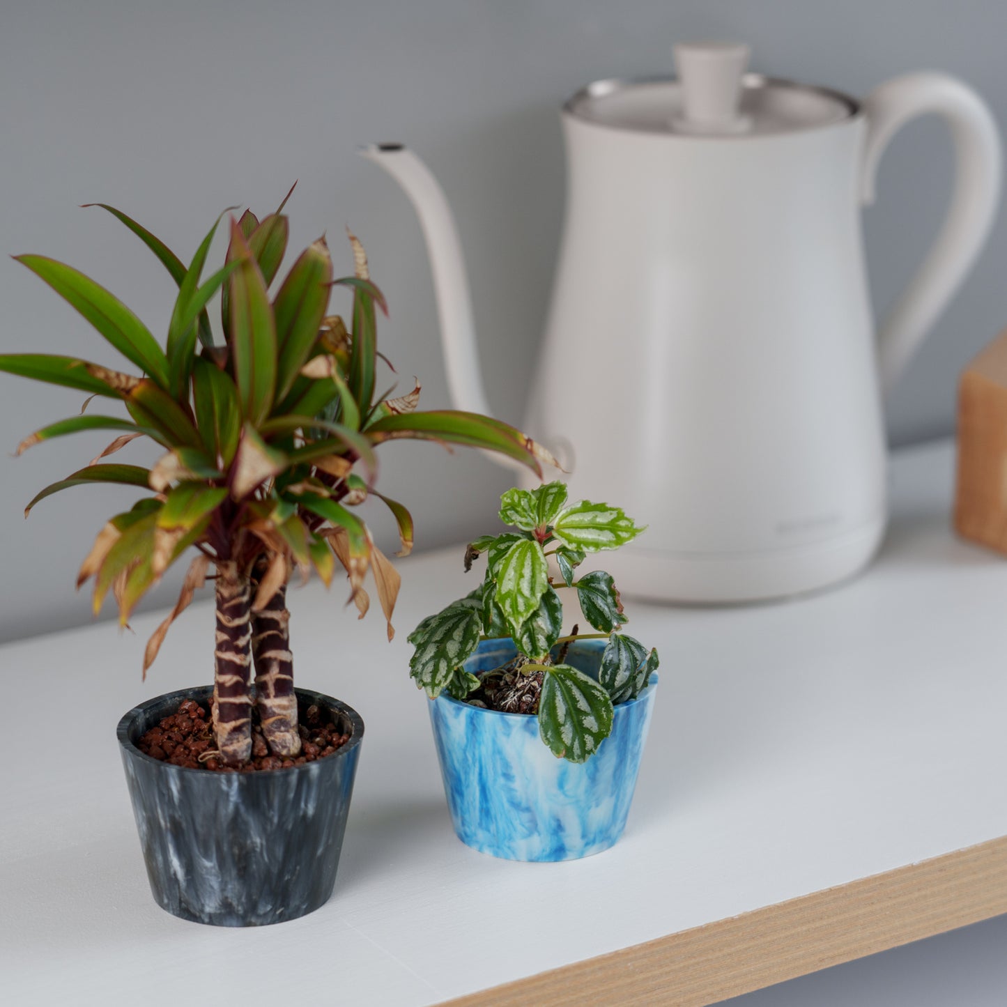 植物用アップサイクルポット