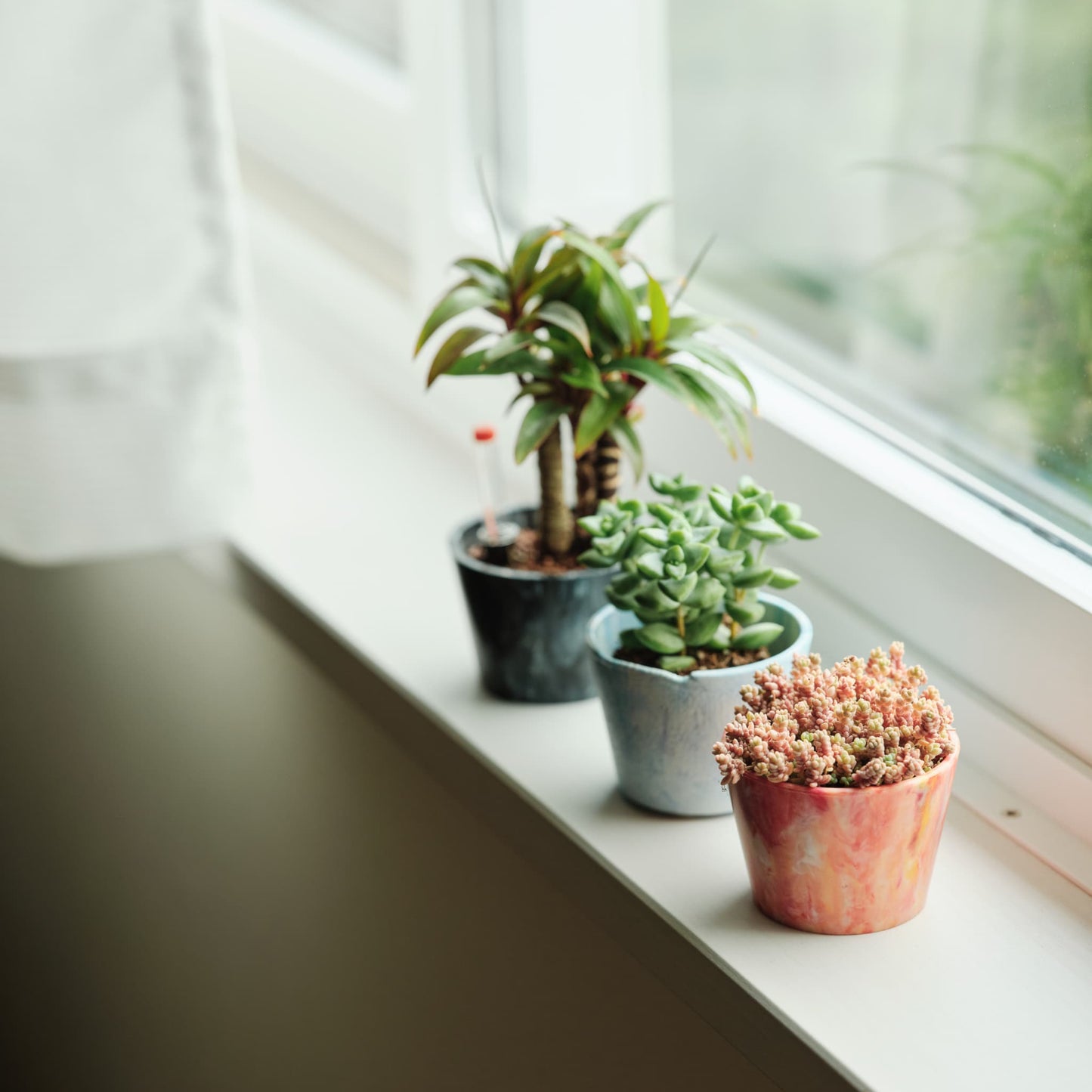 植物用アップサイクルポット