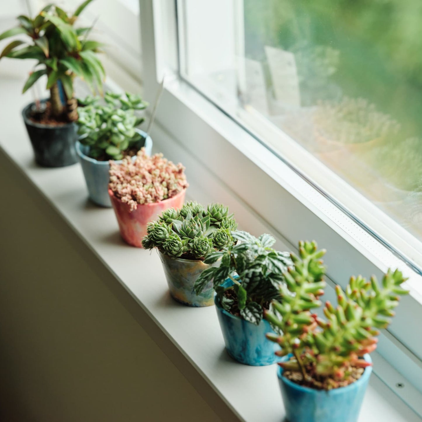 植物用アップサイクルポット