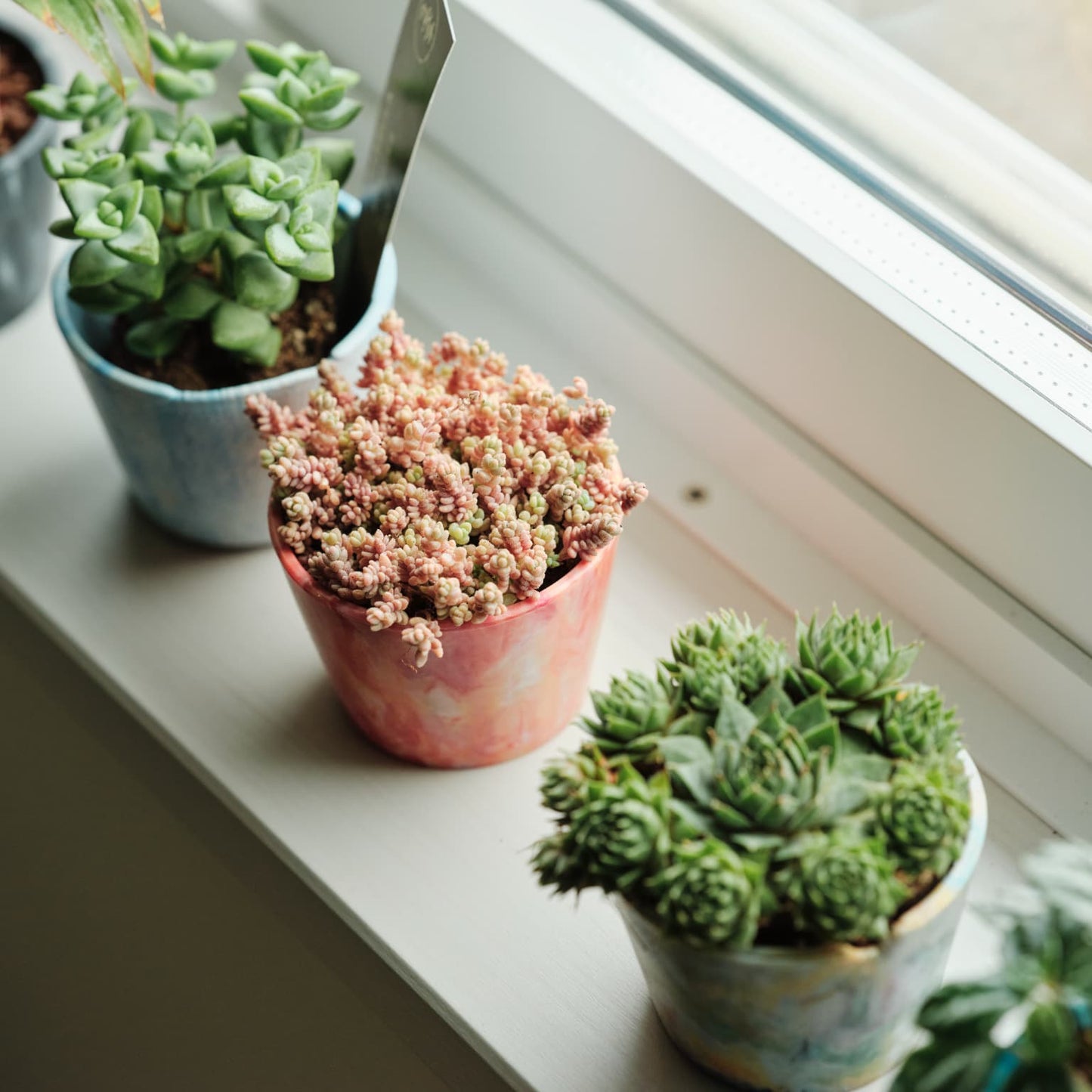 植物用アップサイクルポット